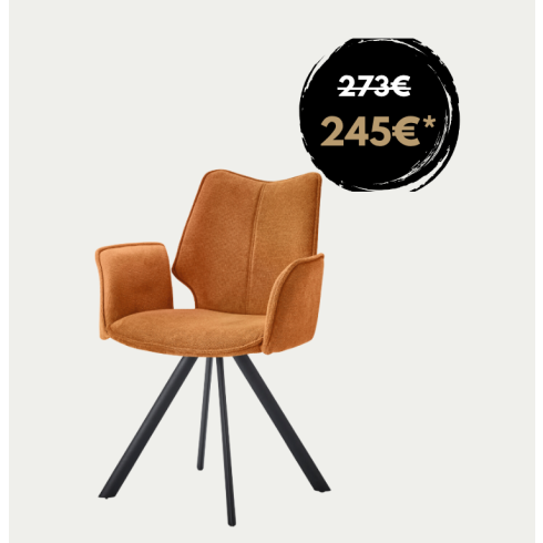 Lot de 2 Chaises Sun avec accoudoirs