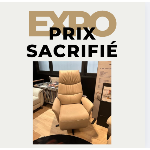 Fauteuil Électrique 7052/77V – Taille L - Exposition - Destockage