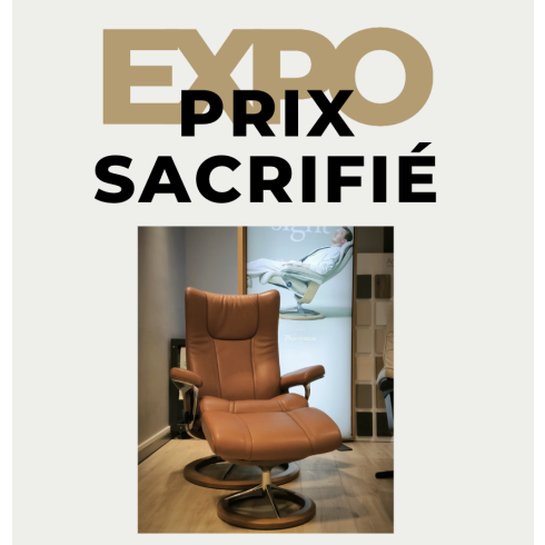 Fauteuil Wing -  Exposition - Destockage