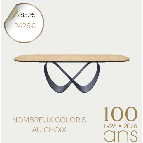 Table de repas extensible RUBAN